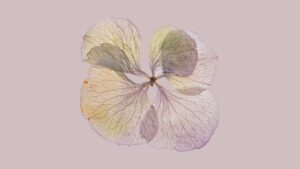 Novo e vivo caminho, uma hora com George Muller